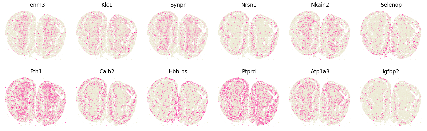 ../_images/tutorials_Tutorial3_Stereoseq_MOB_11_1.png