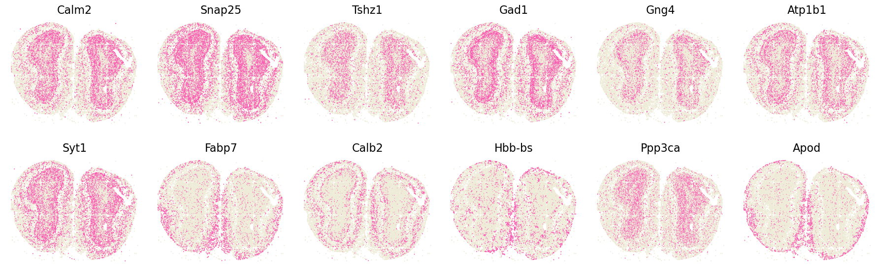 ../_images/tutorials_Tutorial3_Stereoseq_MOB_13_3.png