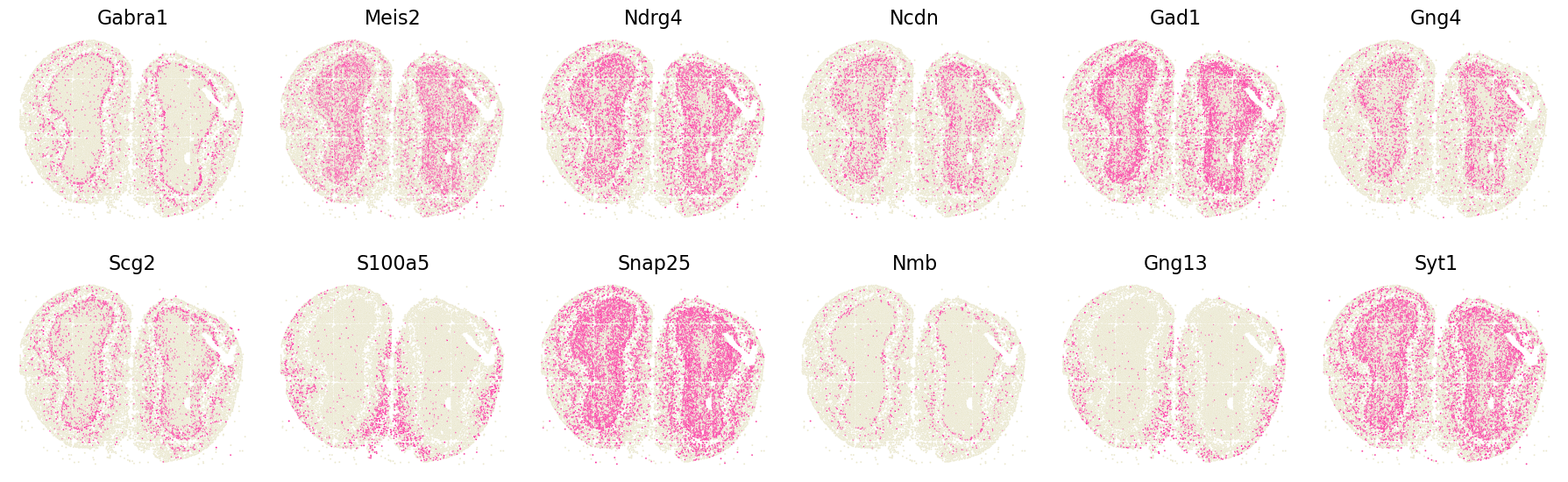 ../_images/tutorials_Tutorial3_Stereoseq_MOB_9_1.png